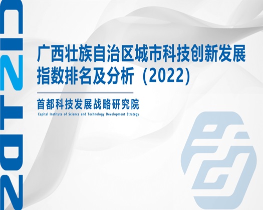 插逼视频软件网址免费【成果发布】广西壮族自治区城市科技创新发展指数排名及分析（2022）